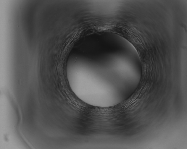 X0000094921393200711291012