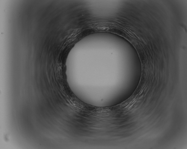 X0000094921394200711291012