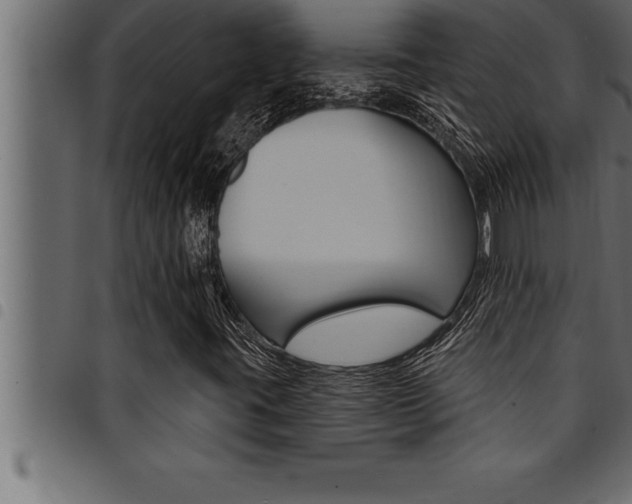 X0000094921395200711291012