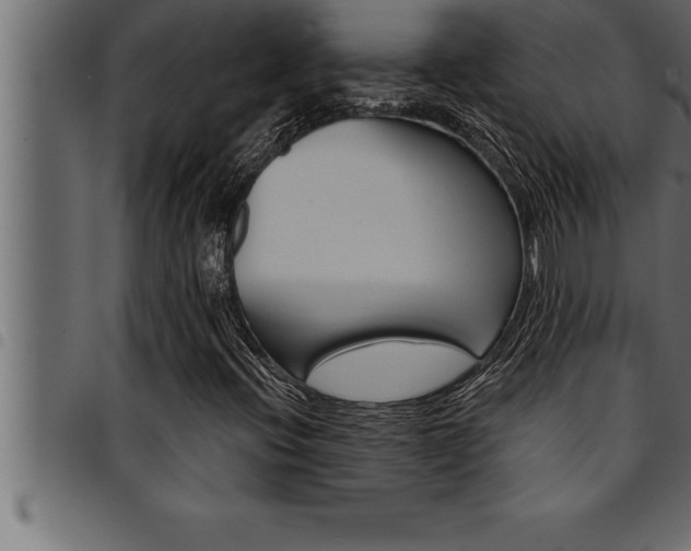 X0000094921396200711291012