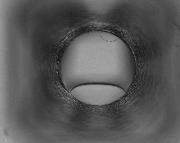 X0000094921397200711291012