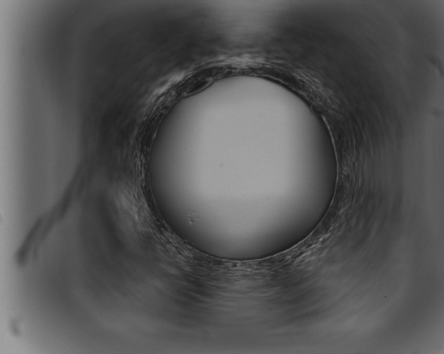 X0000094921398200711291012