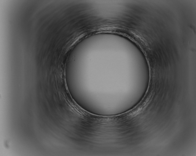 X0000094921401200711291012