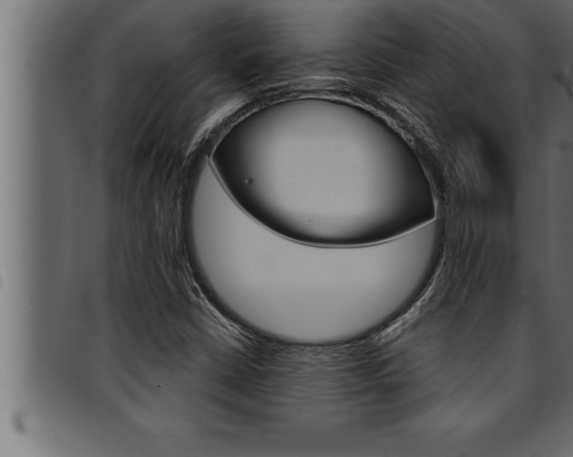 X0000094921402200711291012