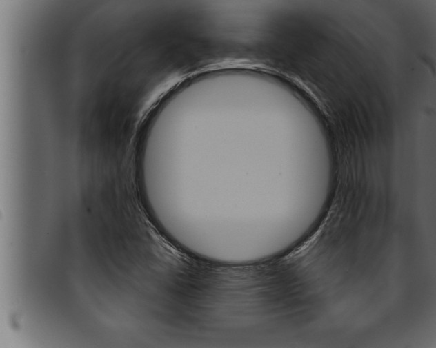 X0000094921406200711291012