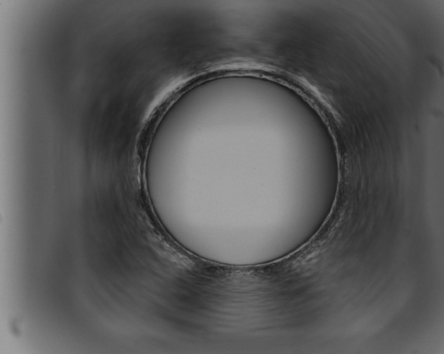 X0000094921408200711291012