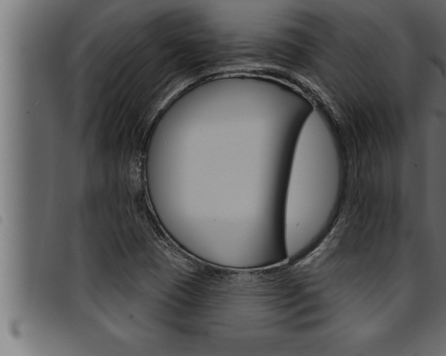 X0000094921409200711291012