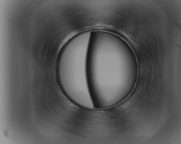 X0000094921410200711291012