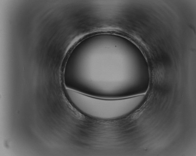X0000094921412200711291012