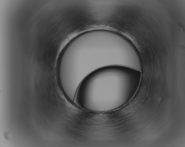 X0000094921414200711291012