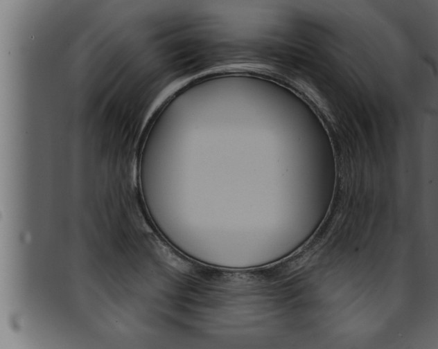 X0000094921420200711291012
