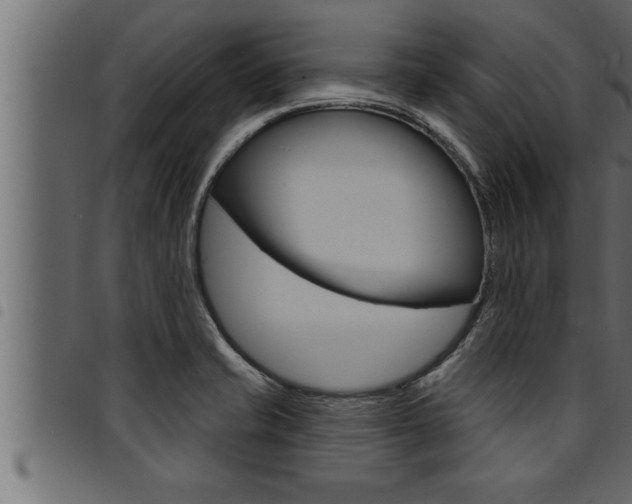 X0000094921421200711291012