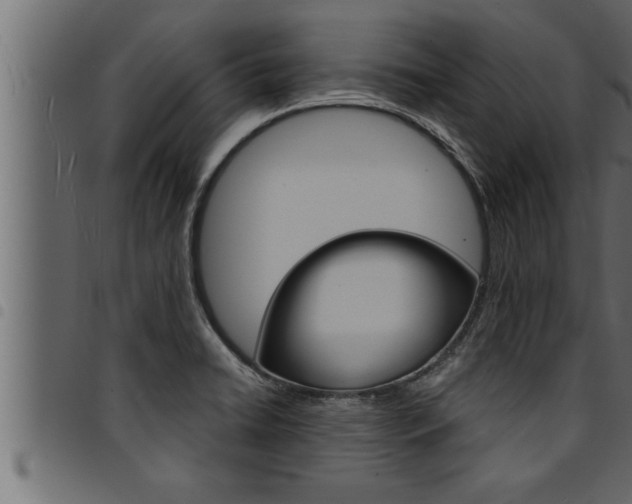 X0000094921422200711291012