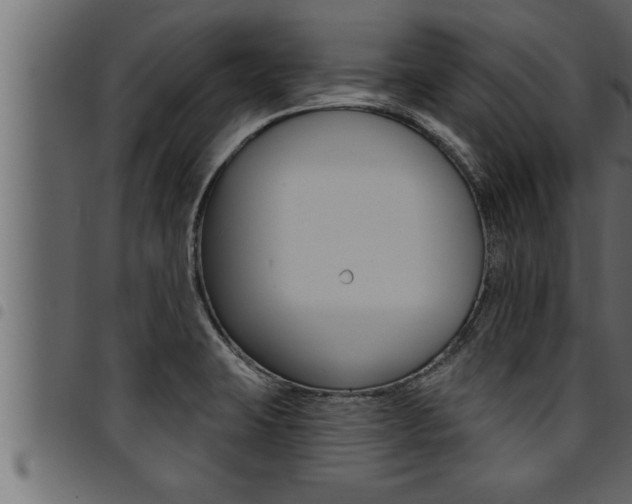 X0000094921423200711291012
