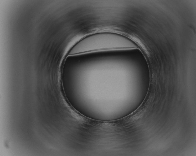 X0000094921424200711291012