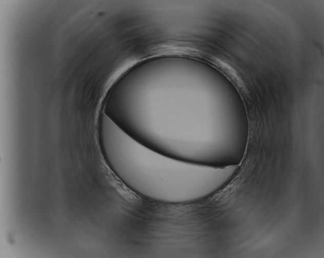 X0000094921427200711291012