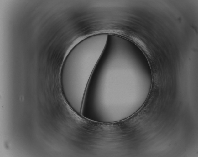 X0000094921428200711291012