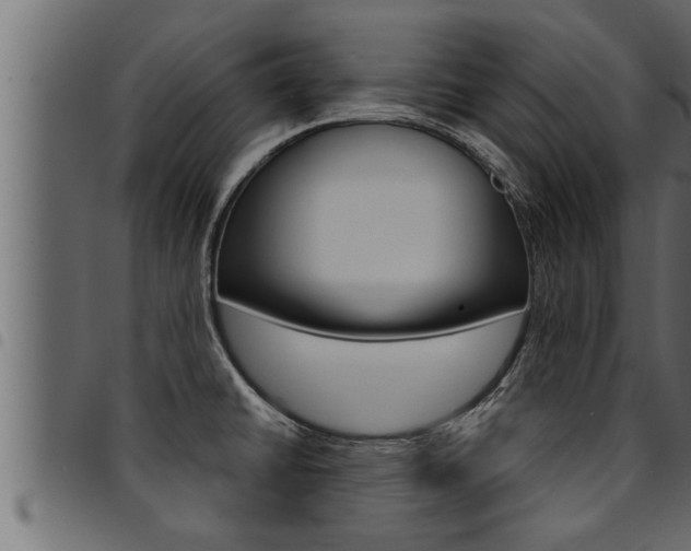 X0000094921430200711291012