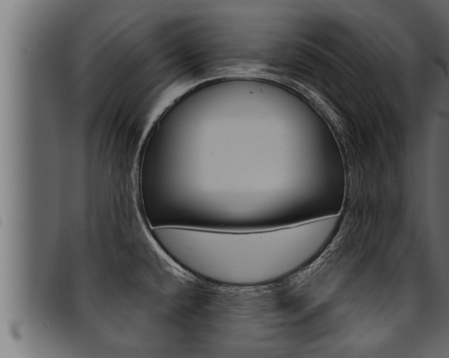 X0000094921432200711291012