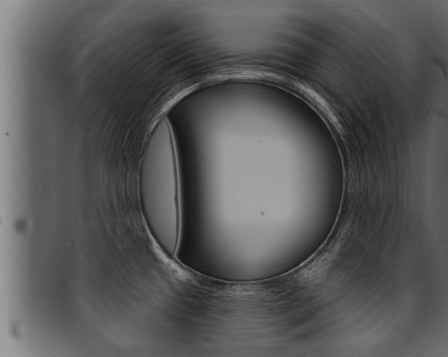 X0000094921433200711291012