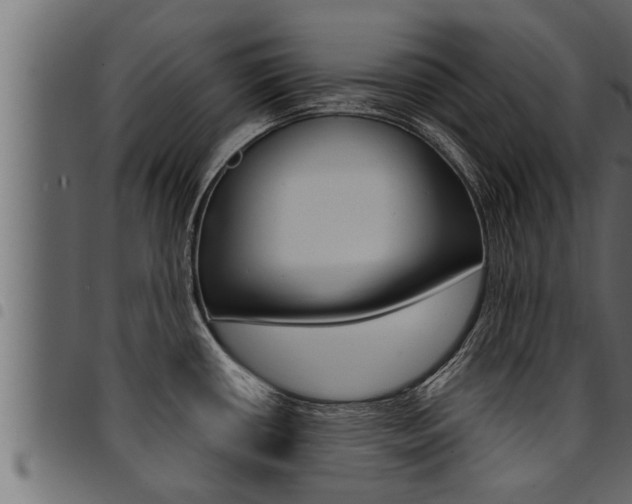 X0000094921434200711291012