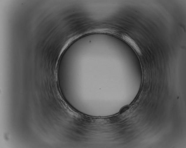 X0000094921436200711291012