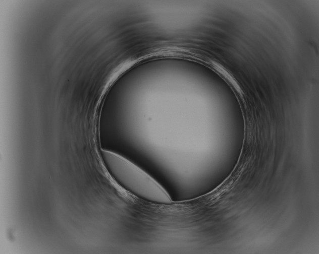 X0000094921437200711291012
