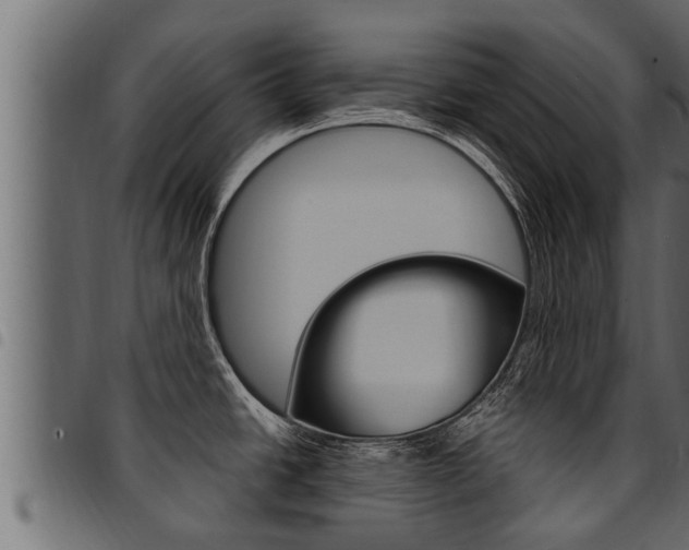 X0000094921438200711291012