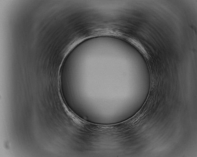 X0000094921439200711291012