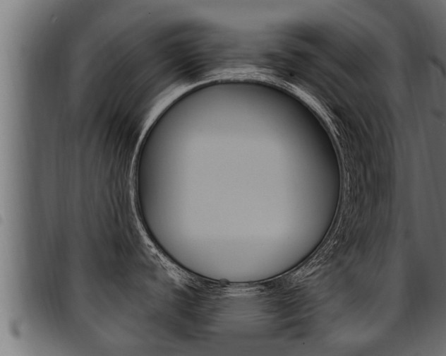 X0000094921440200711291012