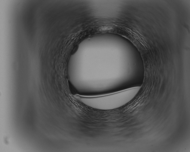 X0000094921441200711291012