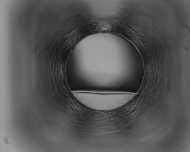 X0000094921442200711291012