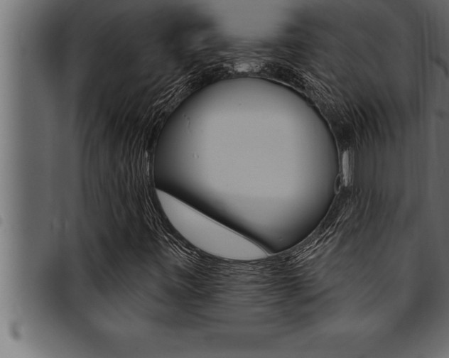X0000094921443200711291012