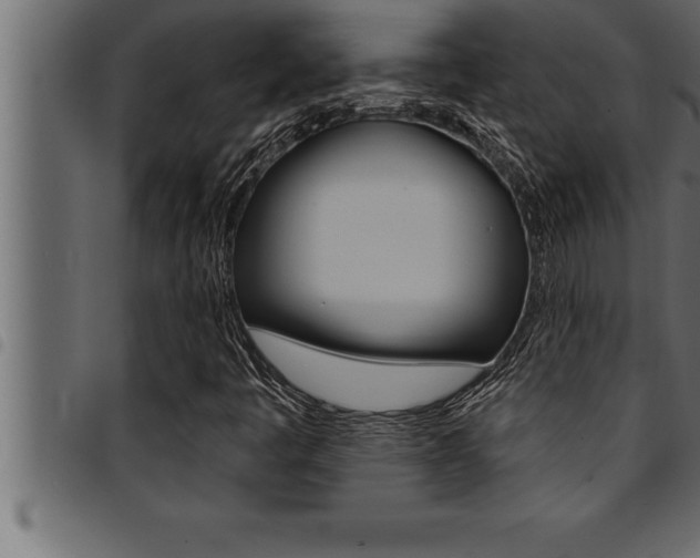 X0000094921445200711291012