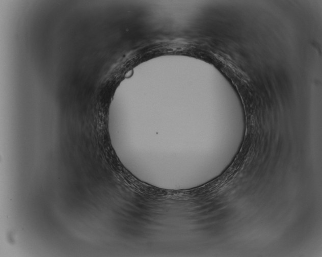 X0000094921447200711291012