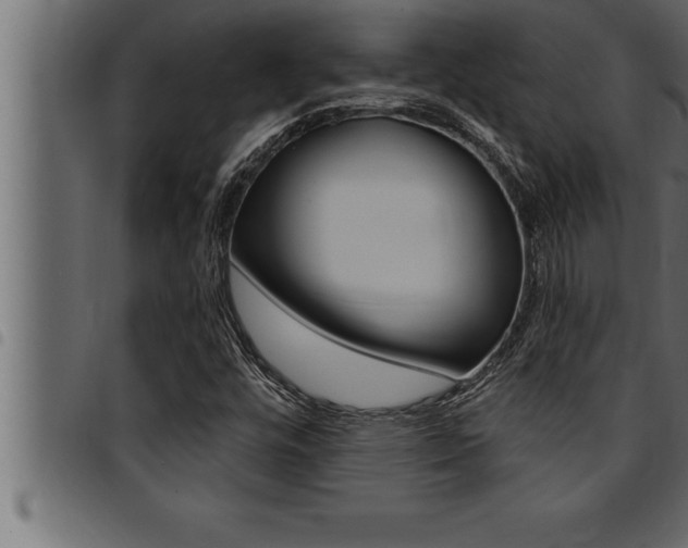 X0000094921448200711291012