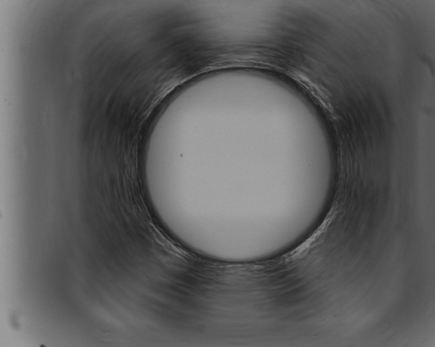 X0000094921449200711291012