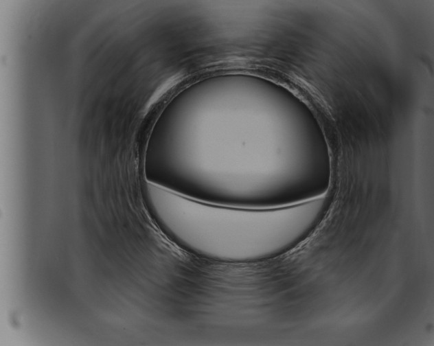 X0000094921450200711291012