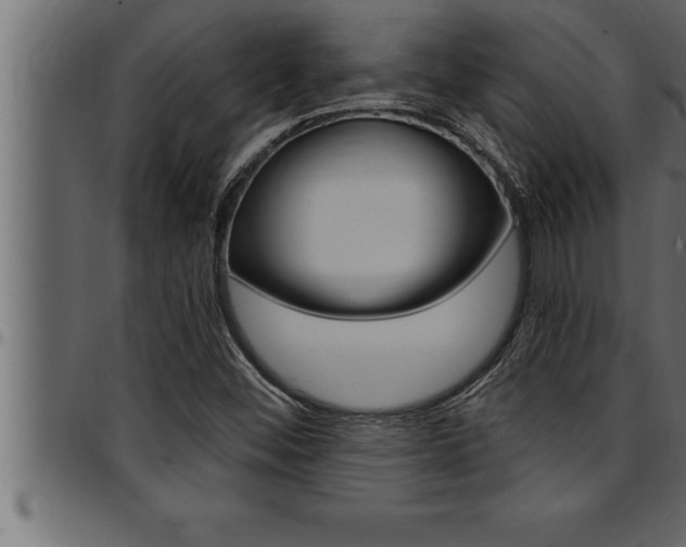 X0000094921452200711291012