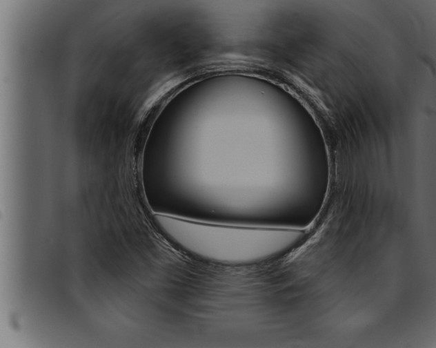 X0000094921453200711291012