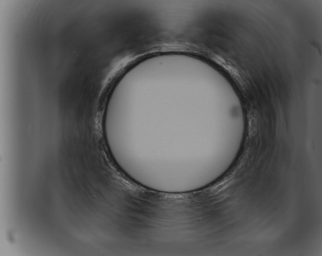 X0000094921454200711291012