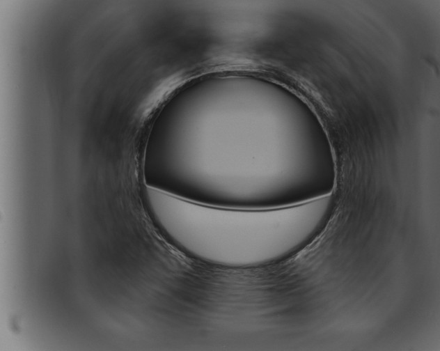 X0000094921455200711291012