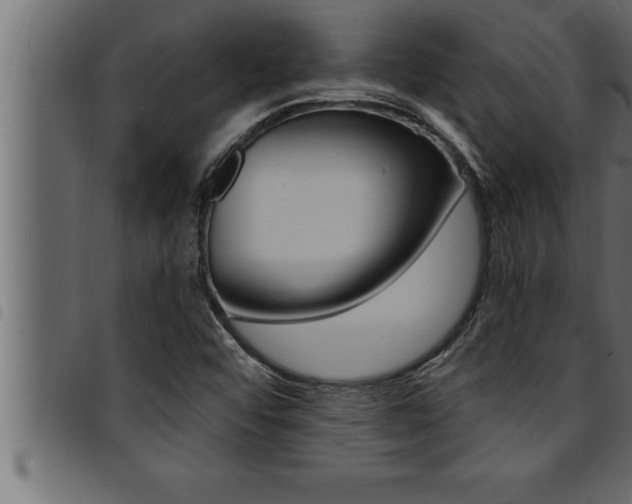 X0000094921456200711291012