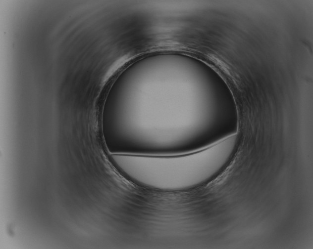 X0000094921458200711291012