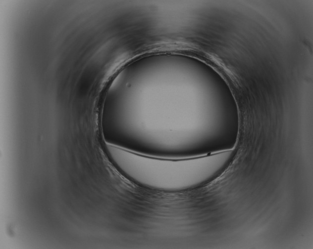 X0000094921459200711291011