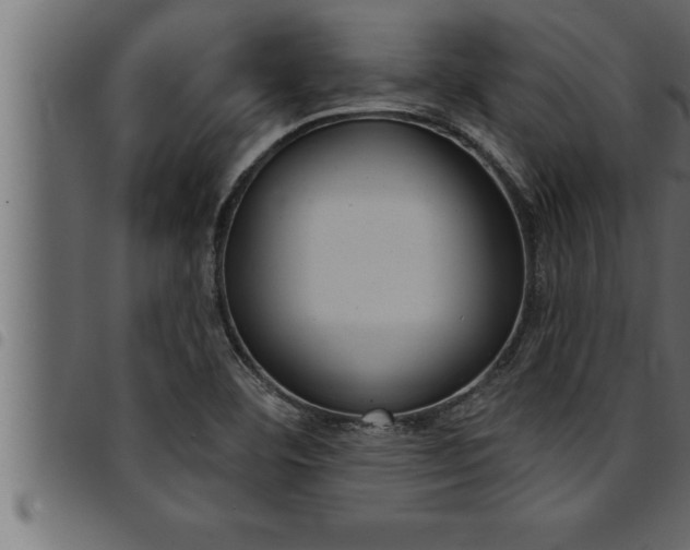 X0000094921460200711291011