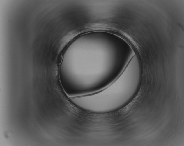 X0000094921461200711291011