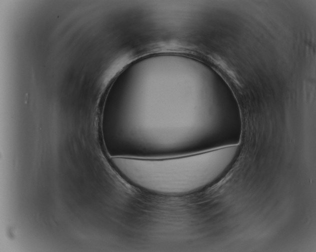 X0000094921463200711291011