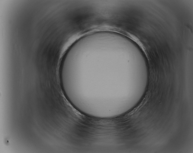 X0000094921464200711291011