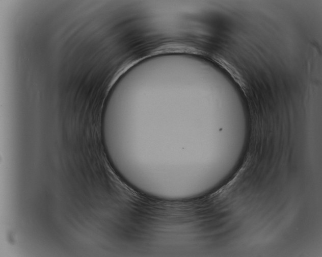 X0000094921465200711291011